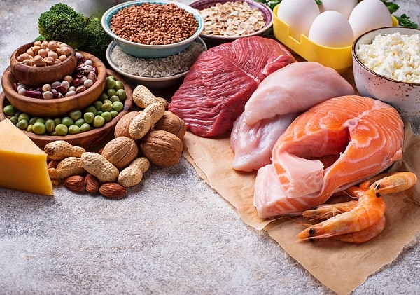 Protein