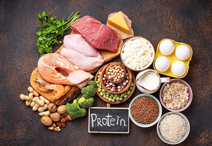 Protein