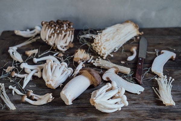 adaptogens