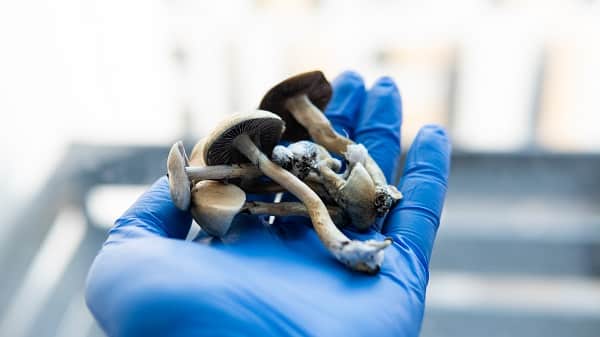 psychedelic assisted therapy