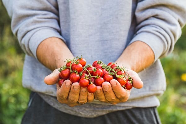 Organic Foods