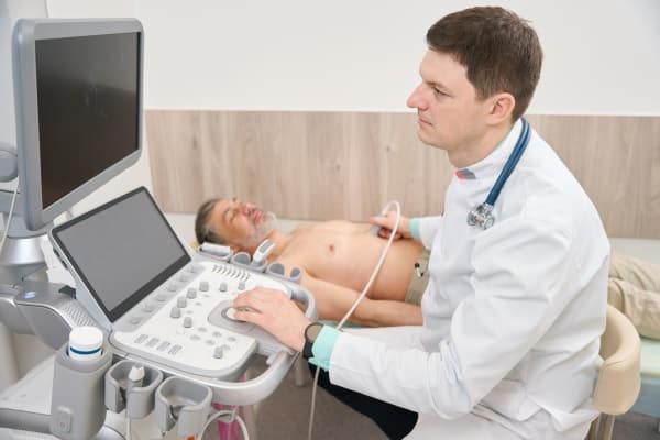 Cardiovascular