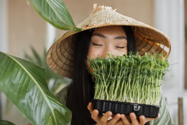 Microgreens