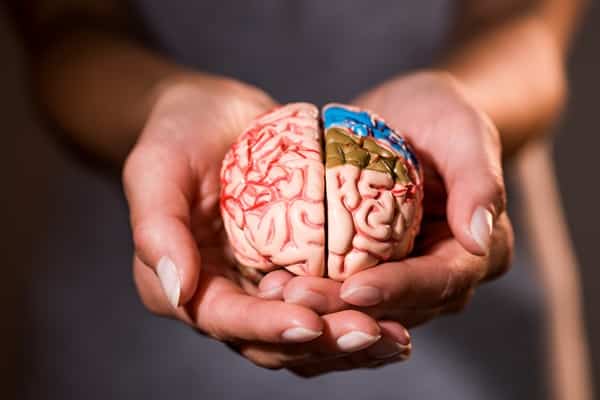 Encephalitis