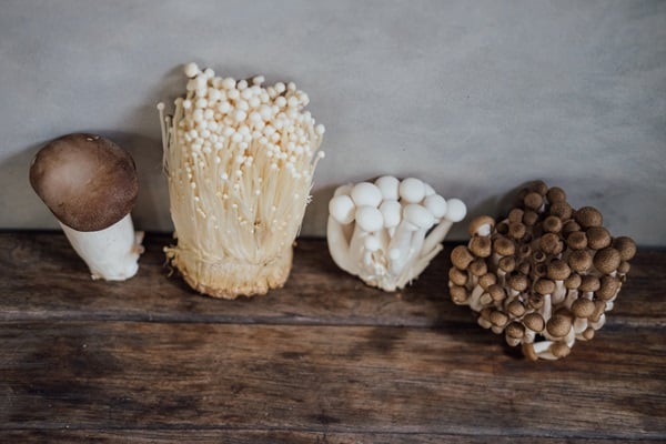 Functional Mushrooms
