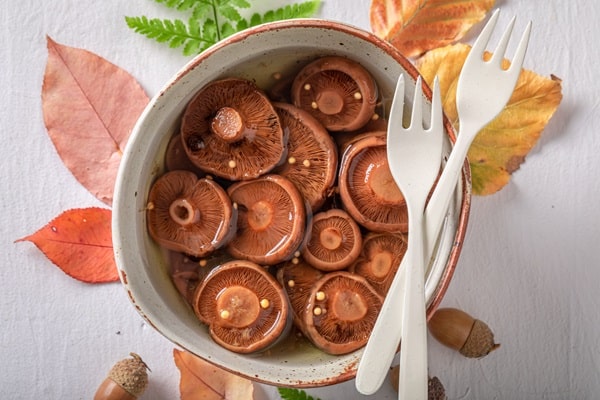 Functional Mushrooms