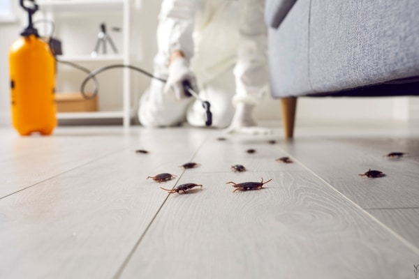 Household Products Are Actually Polluting Your Indoor Air!